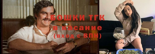 СК Зеленокумск