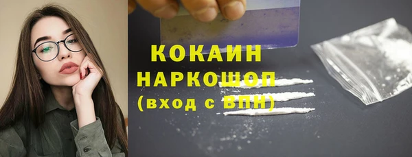 apvp Иннополис
