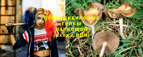 a pvp Зеленодольск