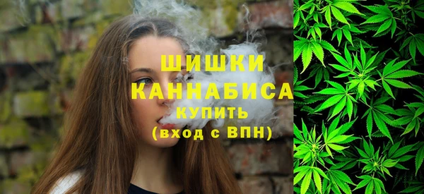 СК Зеленокумск