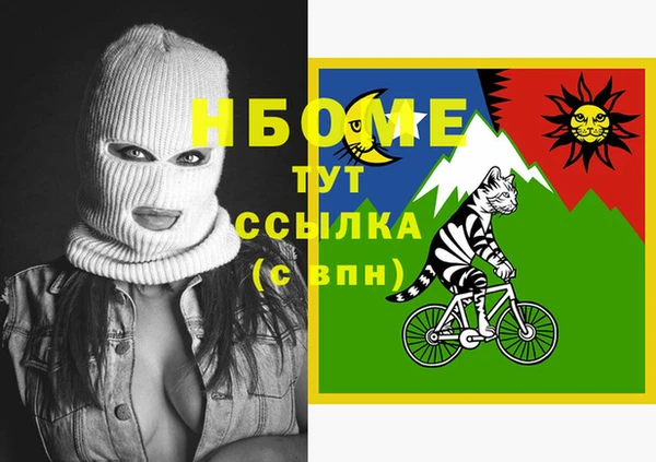 СК Зеленокумск