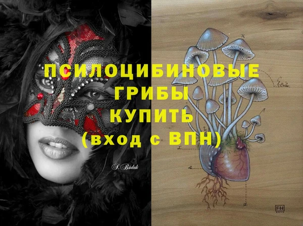 apvp Иннополис