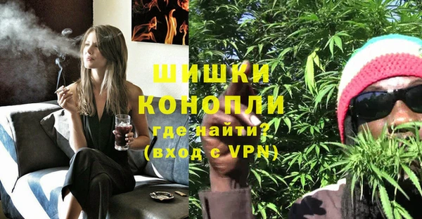 хмурый Инсар