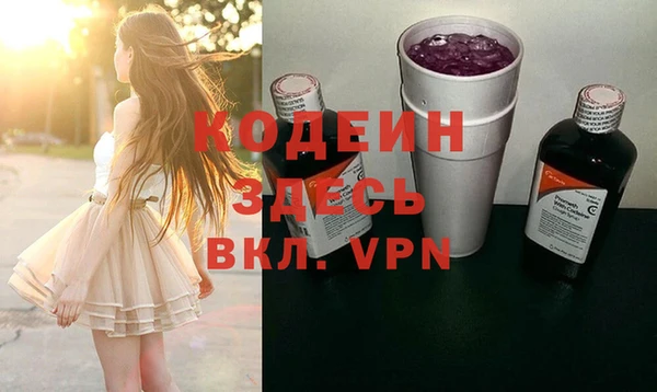 хмурый Инсар